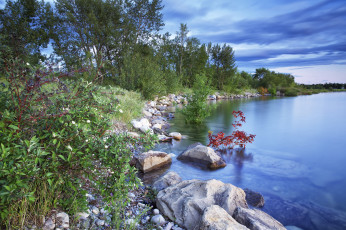 Картинка природа реки озера река лес