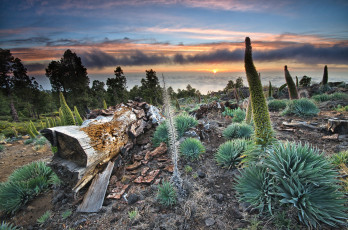 Картинка природа восходы закаты рассвет