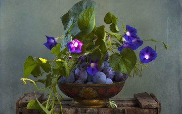 Картинка еда персики +сливы +абрикосы текстура сливы ипомея вьюнок