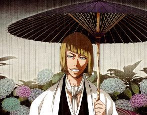 Картинка аниме bleach