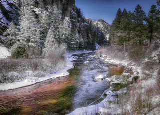 Картинка природа реки озера лес река