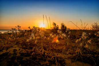 Картинка природа восходы закаты рассвет