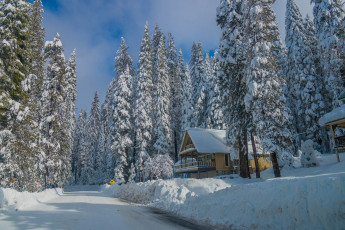 Картинка природа зима снег