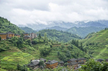 Картинка города -+пейзажи джунгли