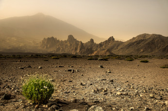 Картинка природа пустыни простор