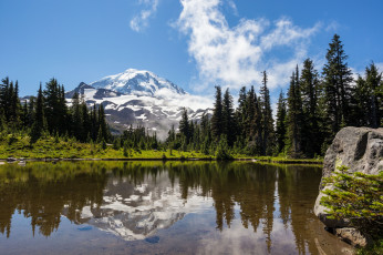 Картинка природа реки озера река лес