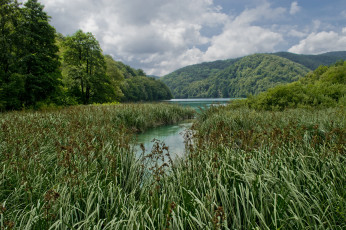 Картинка природа реки озера река лес