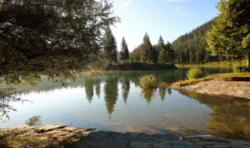 Картинка природа реки озера река лес