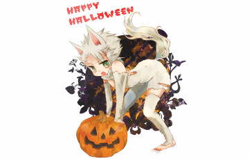 Картинка аниме bleach hitsugaya toushirou