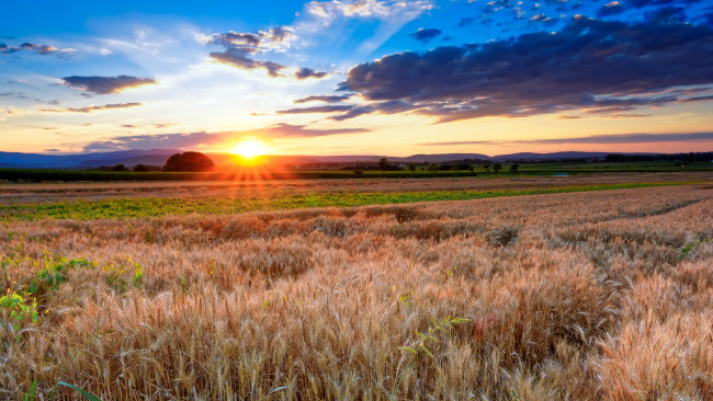 Обои картинки фото природа, восходы, закаты, рассвет