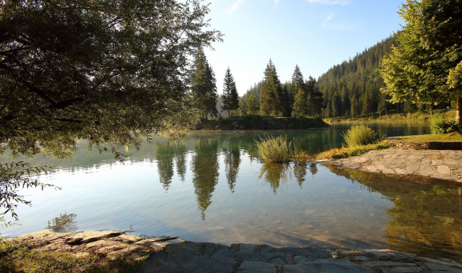 Обои картинки фото природа, реки, озера, река, лес