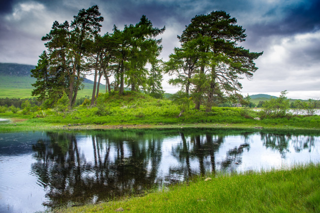 Обои картинки фото природа, реки, озера, река, лес