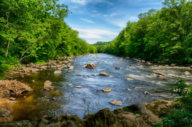 Обои картинки фото природа, реки, озера, лес, река