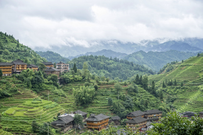 Обои картинки фото города, - пейзажи, джунгли