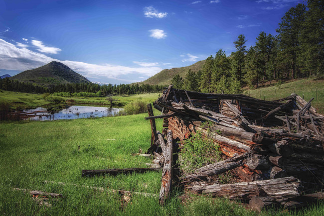 Обои картинки фото природа, реки, озера, река, лес