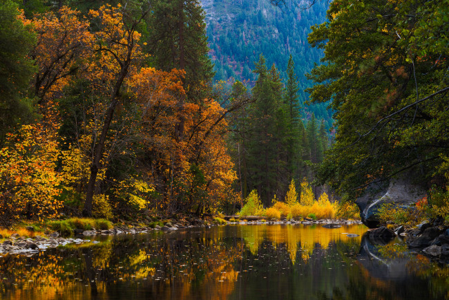 Обои картинки фото природа, реки, озера, река, лес, горы