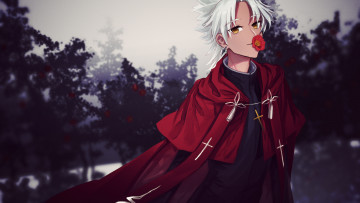 Картинка аниме fate stay+night судьба апокриф