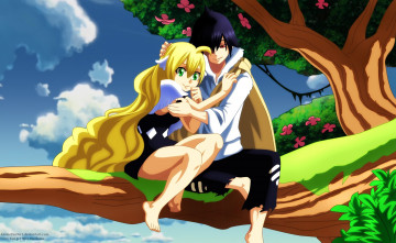Картинка аниме fairy+tail zeref mavis vermillion