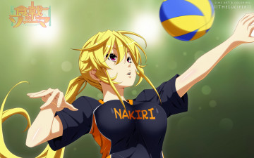 Картинка аниме shokugeki+no+soma девушка