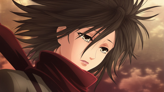 Обои картинки фото аниме, shingeki no kyojin, микаса