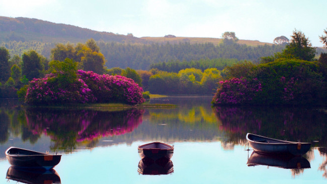 Обои картинки фото корабли, лодки,  шлюпки, цветы, кусты, река