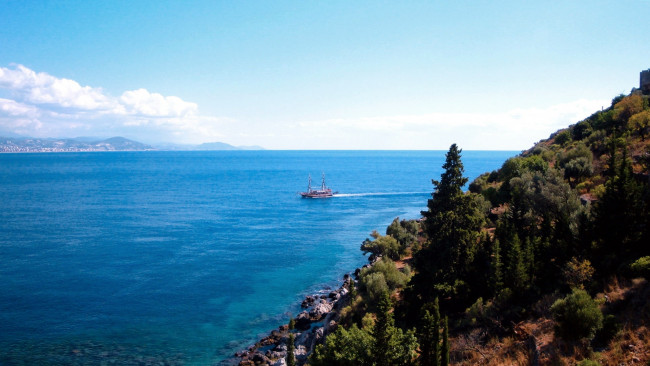 Обои картинки фото природа, побережье, деревья, камни, море