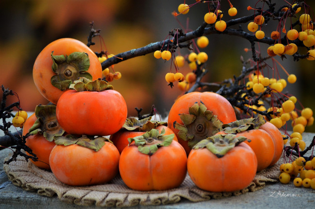 Обои картинки фото еда, хурма, салфетка, ягоды, ветки, фрукты, осень