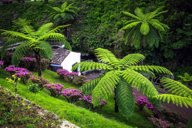 Обои картинки фото sao miguel island, azores, города, - здания,  дома, sao, miguel, island