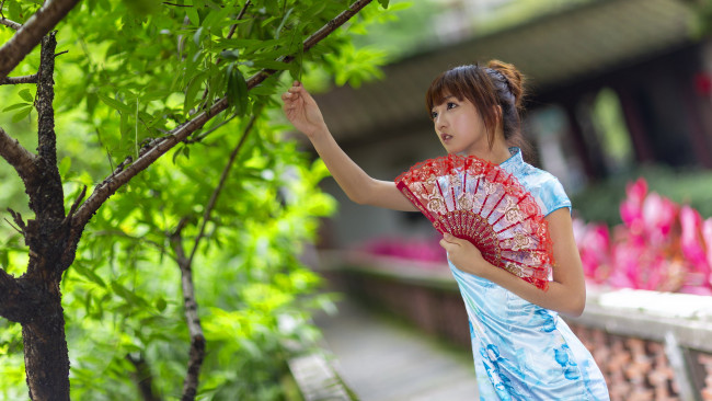 Обои картинки фото девушки, - азиатки, азиатка, дерево, веер