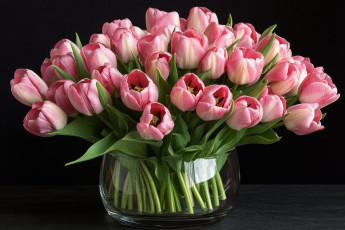 Картинка 3д+графика цветы+ flowers розовые тюльпаны бутоны