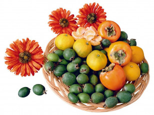 Картинка еда фрукты ягоды