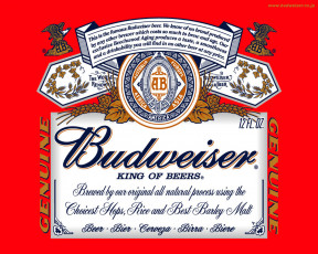Картинка бренды budweiser
