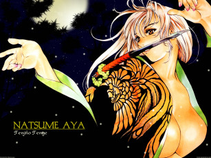 Картинка аниме tenjou tenge