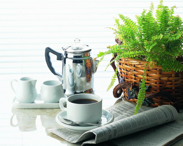 Обои картинки фото еда, кофе, кофейные, зёрна