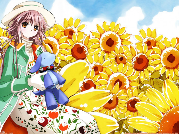 Обои картинки фото аниме, kobato