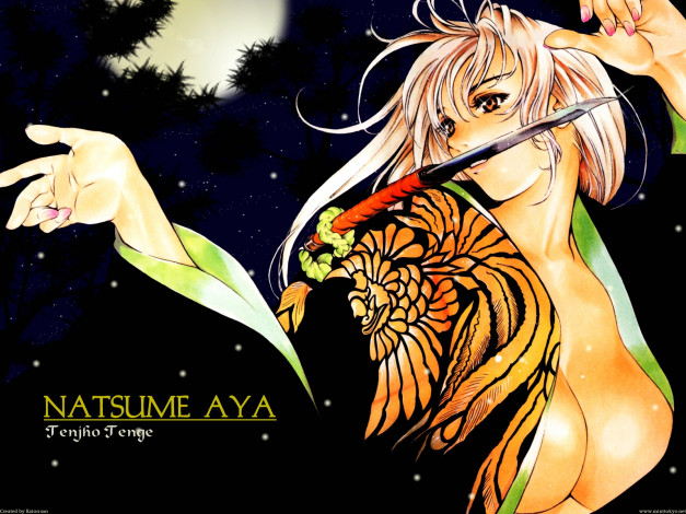 Обои картинки фото аниме, tenjou, tenge