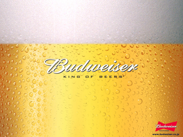 Обои картинки фото бренды, budweiser