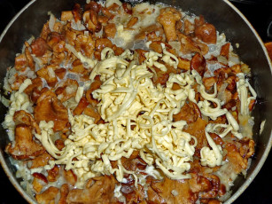 Картинка еда грибы грибные блюда