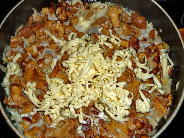 Обои картинки фото еда, грибы, грибные, блюда