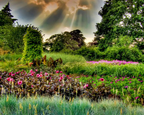 Картинка природа парк деревья цветы