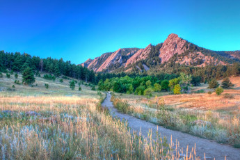 Картинка природа дороги лес деревья пейзаж горы