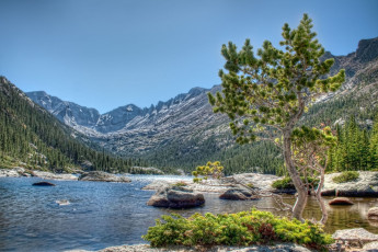 Картинка природа реки озера сосна камни лес деревья пейзаж горы