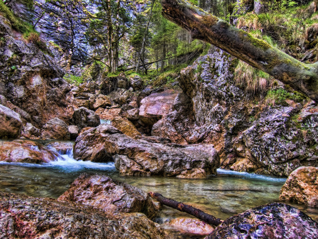 Обои картинки фото природа, реки, озера, лес, река, камни, деревья