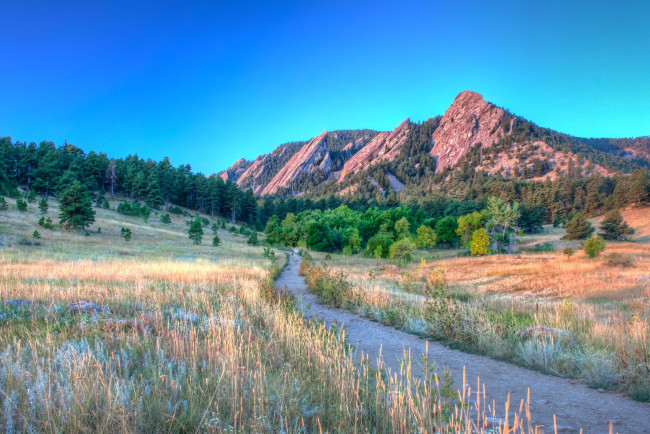 Обои картинки фото природа, дороги, лес, деревья, пейзаж, горы