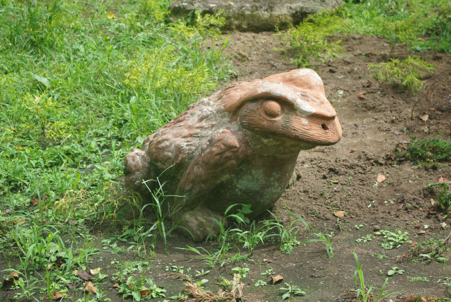 Обои картинки фото разное, рельефы, статуи, музейные, экспонаты, лягушка, трава