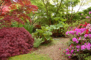 Картинка maresfield park england природа парк деревья кусты