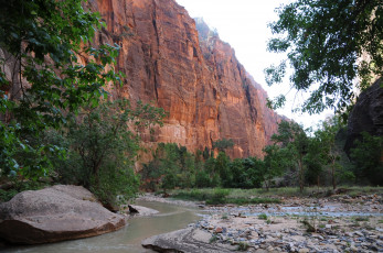 Картинка zion national park utah природа горы дорога лес
