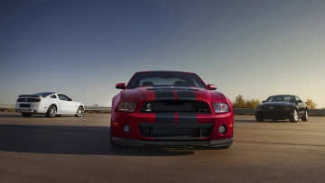 Картинка автомобили mustang ford shelby gt500