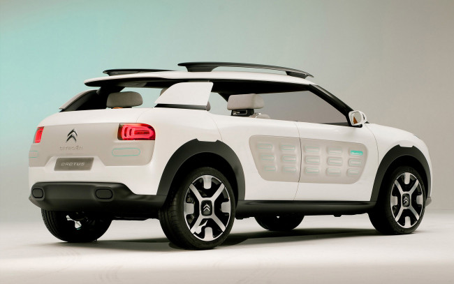 Обои картинки фото автомобили, citroen, concept, cactus, car