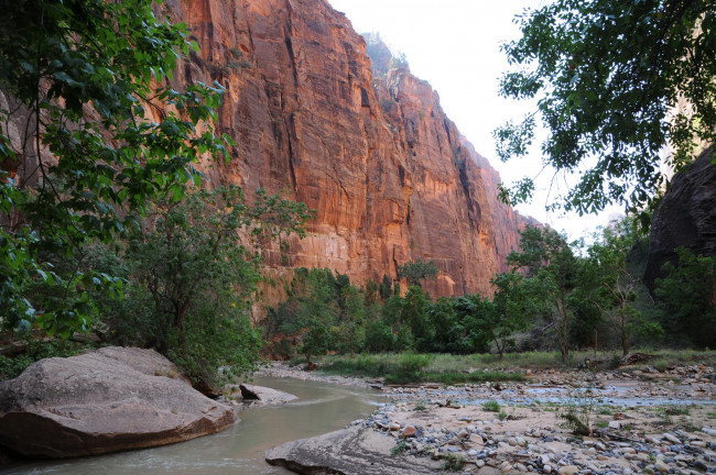 Обои картинки фото zion, national, park, utah, природа, горы, дорога, лес